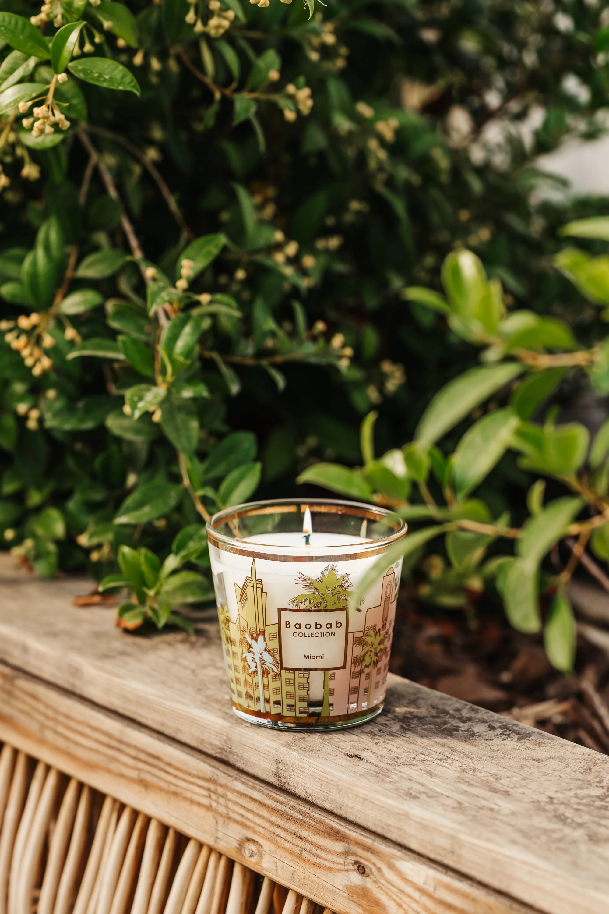 SCENTED CANDLE MY FIRST BAOBAB MIAMI - Image 3